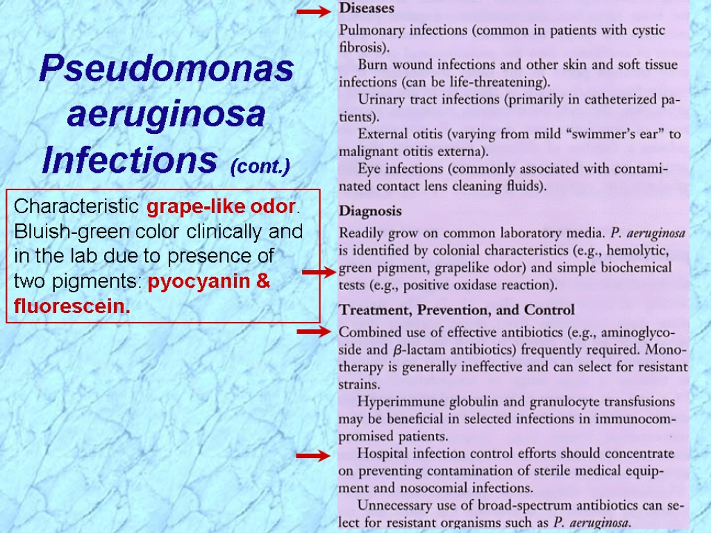 Pseudomonas aeruginosa Infections (cont.) Characteristic grape-like odor. Bluish-green color clinically and in the lab